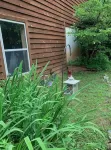 Relax in the Ozark Woods at a Quiet Nature Retreat with a Private Walking Trail. - Homestays