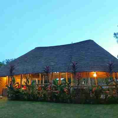 Bushbaby Lodge Hotel Exterior