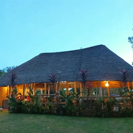 Bushbaby Lodge
