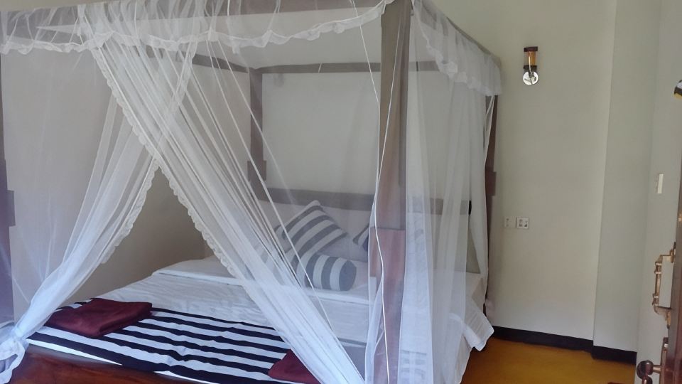 Forest Paddy Homestay