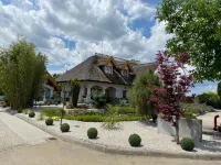 Rigótanya Relax & Wellness Panzió Bükfürdő - Homestays