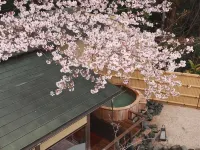 Ebisuya