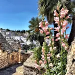 Trulli e Puglia Resort - Scenic