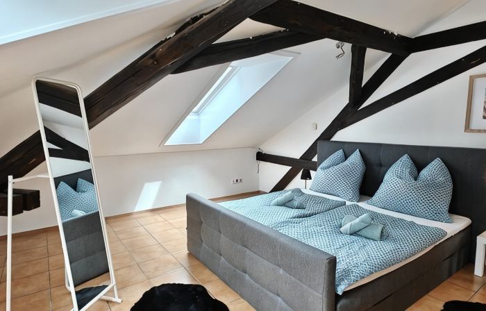 Loft with Pond View in the Franconian Lake District Pet-Friendly