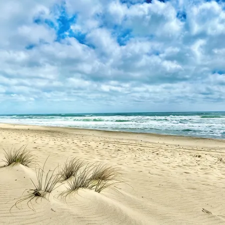 Charming 2-Bedroom, New Custom Home, Linens Provided, Walk to the Beach!