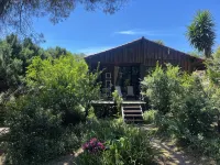 Pine Lodge - luxurious bungalow in nature Hotels in Valongo