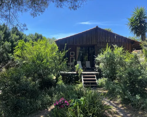 Pine Lodge - luxurious bungalow in nature Hotels in Valongo