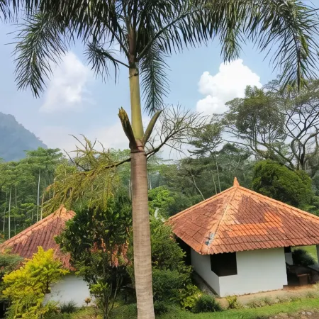 Ecolodge Seloliman