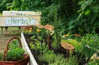 Squam Lake Inn - Bed and Breakfasts