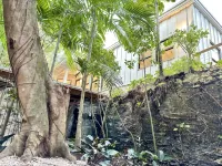 Coconut Grove Mid-Century Jungle Oasis - Bungalows