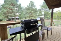 Old Mill Cabin #2 - on the Little MO River, Large Yard, Bunk Room! - 4 estrellas