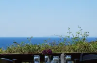 Ktima Nikola - Mountain View