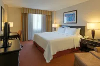 Holiday Inn 馬塔莫羅斯 by IHG - 健身室/gym room