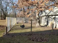 Sanctuary Woodland Guest House, located next to the conservation area! - 2-Sterne