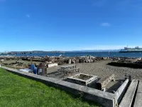 Beach house with views of Puget Sound, ferry, North Cascades, Mt Baker, Rainier. - 2-stjärniga