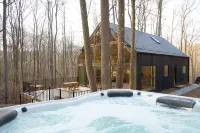 The Ledges Cabin - modern luxury on 35 acres, 8 person hot tub, wood fireplace. - Alphydda