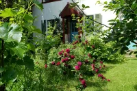 Romantisches Ferienhaus Mitten in der Natur - 3-نجوم