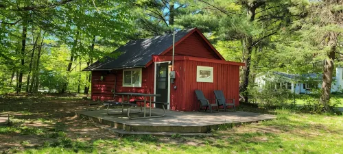 Private Log Cabin, 4 min walk to Torch Lake - Chalets