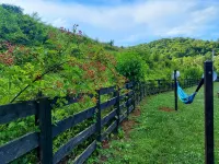 Rumples Retreat at Highland Hideaways - Arcade - Private Drive-in Theater - Chalets