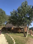 Pinetree Cabin - 4 king beds, stunning views - Hytter