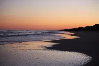 Oceanfront, Elevator, Early Check-in, Heated Pool, Step onto the Sand - Beach