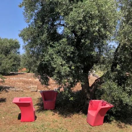 Perfect Oasis Among Olive Trees and Private Pool, for an Authentic Experience!
