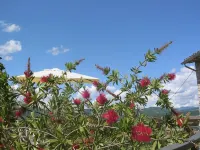 B&B la Terrazza Del Subasio - con vistas a la montaña