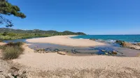 Charming house right on the most beautiful beach in Corsica! - 4-Star