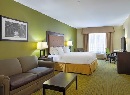 Holiday Inn Express & Suites Savannah - Midtown