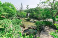 SON Home Garden Hue