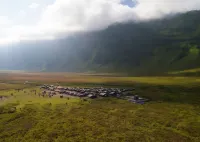 Plataran Bromo Hotels in Tosari
