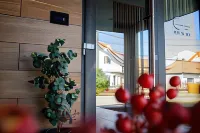 Vila Sarisa Hotels in Deva