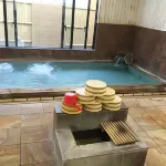 Kodakaranoyu Shiojiri Hotel Hotels in Katashina