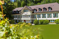 Waldhotel Bad Sulzburg Hotels near Belchen