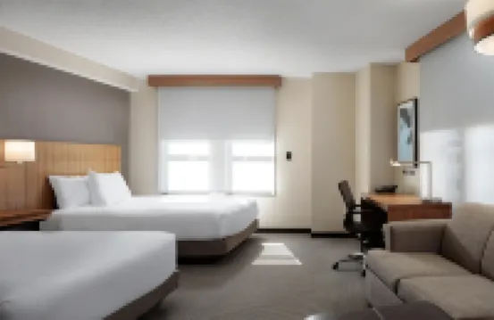 Hyatt Place New Orleans Convention Center Hotels in New Orleans