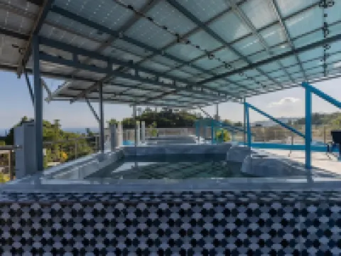 Edma Apartahotel Hotels in Samana