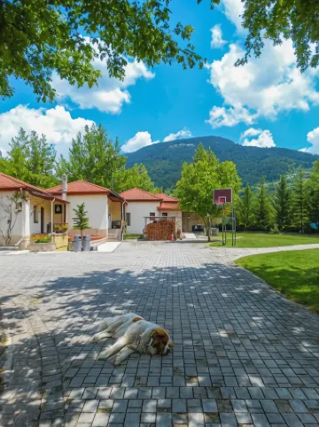 Ninemia Stay and Play