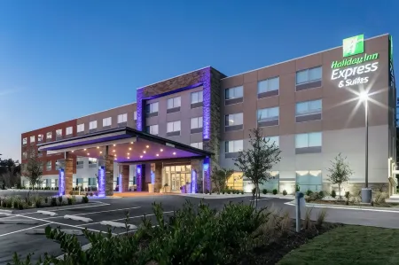 Holiday Inn Express & Suites Wilmington West - Medical Park Отели в г. Нью-Хановер
