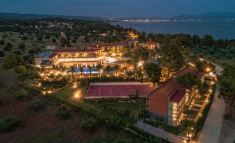Blue Dolphin Hotel