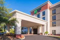 Holiday Inn Express & Suites Tampa-Anderson RD/Veterans Exp Hotel di Greater Carrollwood