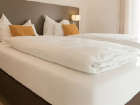 Vitus Steyr Hotel & Spa Suites Hotels in Steyr