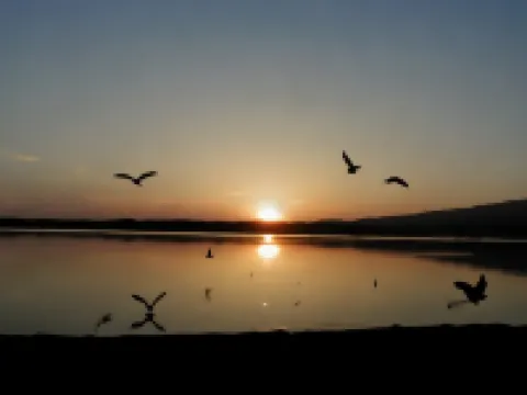 金沢屋旅館 佐渡島のホテル