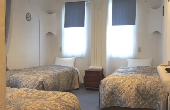 阿拉伯藝術畫廊酒店