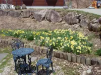 Pension Wines Hotel a Minamiaizu