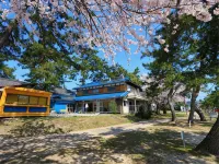 Matsunamiso