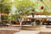Hotel Las Palmas