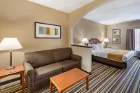 Comfort Suites Chesapeake - Norfolk Hotels in Chesapeake