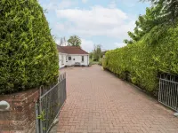 Shirley's House