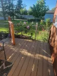 Cozy New Studio  in Charming Mount Vernon, Perfect for You and Your Pup