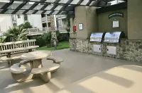 Oceanfront Resort-Garden View Balcony. Pool, Hot tub, Bikes, Beach equip, Games - Homestay
